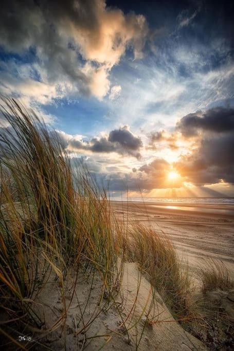 Vue Mer Berck Bagian luar foto